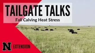 Heat Stress in Fall Calving Cows