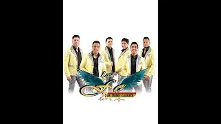 1- Musica romantica en vivo