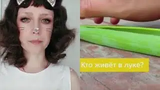 Смотреть что внутри лука