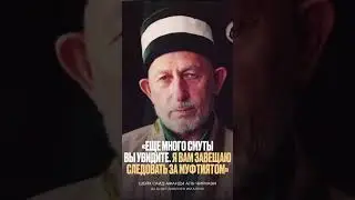 3 ноября 2024 г.