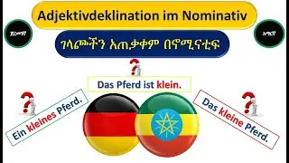 German-Amharic | Adjektivdeklination im Nominativ | ገላጮችን አጠቃቀም በኖሚናቲፍ