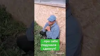 Сдохнут! О наставничестве в пастбищном птицеводстве