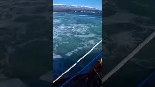 Пицунда зимой шортс Shorts 2