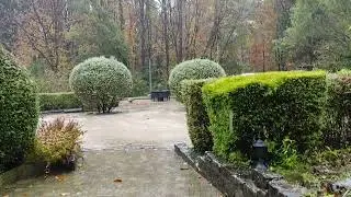Belgique Погода