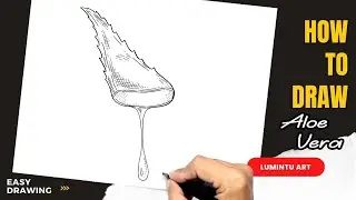 How to draw Aloe Vera