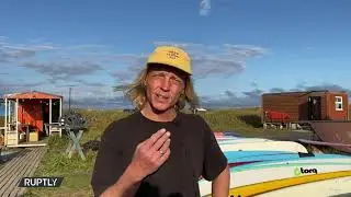 Какова настоящая причина гибели фауны на Камчатке