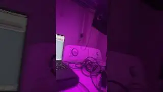 Laundry room studio setup goes hard😭 