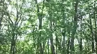 20130613