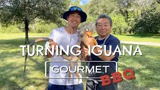 LIVE Iguana Catch & Cook: Turning Iguana Into Gourmet, FEAT: DannyGrubs & The Iguana Man