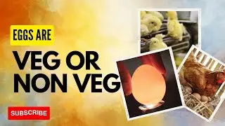 Eggs are Vegitarian or Non Vegitarian as Scientific view @letsaware21 #sciencefacts