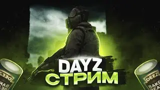 Dayz — Ищем дом (на фул забитом сервере) 