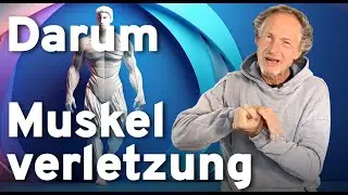 Muskelfaserriss oder Zerrung? Die 4 wirklichen Gründe! Gute Besserung 👋🏼🐝🍀