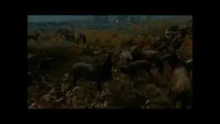 Skyrim Mod: SkyTEST