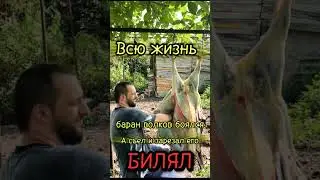 17 июня 2024 г.