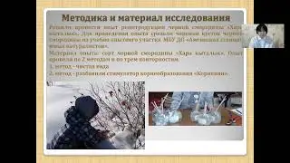 Алена Томская - 7.5 Сельскохозяйственные науки / #75ШВБ2022