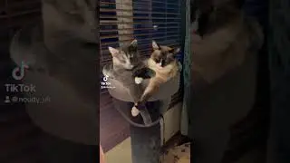#cute