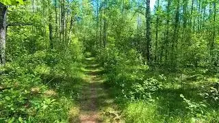 Домик в деревне.