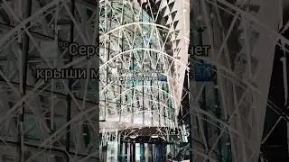 НАД КРЫШАМИ🌃 – Zivert ✨🐅 