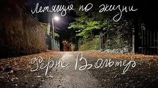 VLOG #041 - Ферне вольтер