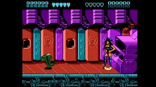 Battletoads & Double Dragon - All Bosses (Rash) (No Damage)