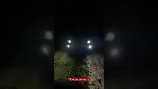 Какого года приора?
