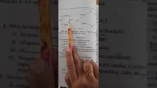 similarity of triangles class 10