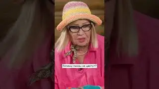Почему пионы не цветут
