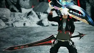 Fictitous Beam (Vs. Ruine Masquerader) Depth8-10 | PSO2NGS