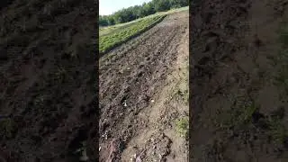 ЭКСТРЕМАЛЬНАЯ СИТУАЦИЯ