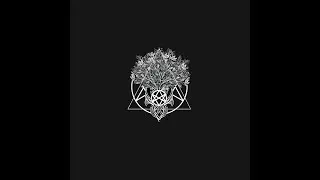 The Snow (Official Music Video) | Knowledge The Extraordinary