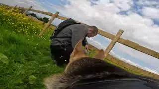 GoPro + 🐕‍🦺
