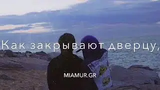 Цветущая роза