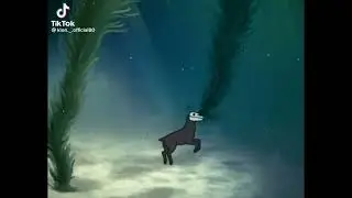 не обычный лошадь