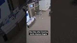 Man Dies after Airplane Engine Incident - Final Moments Caught in Video  #truecrime #breakingnews