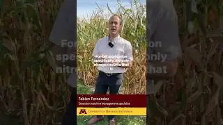 Tips for fall nitrogen application