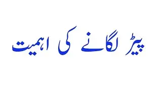 15 November 2024