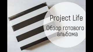 Project Life: A Review of the Second Complete Album