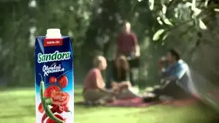 Сандора. Овочевий коктейль