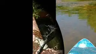Мулянка Пермь