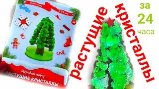 Выращиваем кристаллы за 24 часа/ЕЛКА ИЗ КРИСТАЛЛОВ