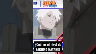 ¿Cual era el nivel de Sakumo Hatake?