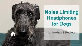 Unboxing of Noise Limiting Headphones for Dogs