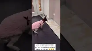 Оксана Самойлова жизнь с Козой