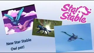 Buying the new Owl pet I SSO Georgia Eventing
