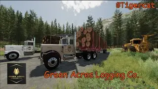 FS22 Forestry! Doing some logging behind the house! 