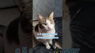 1 октября 2024 г.