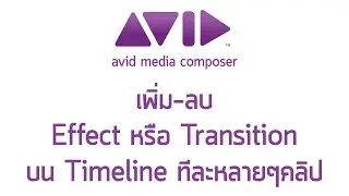 เพิ่ม ลบ Effect หรือ Transition บน Timeline ทีละหลายๆคลิป