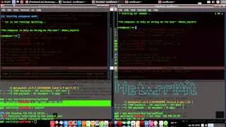 DDoS Live Show to take down server