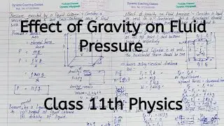 Effect of Gravity on Fluid Pressure | Chapter 9 | Mechanical Properties of Fluids | Class 11