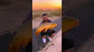 #fishing